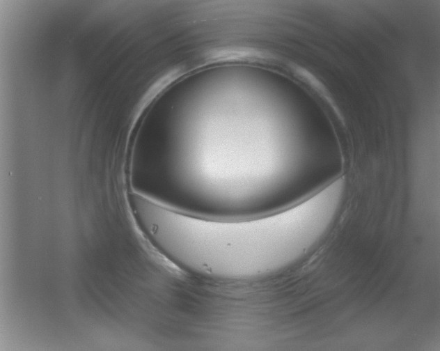 X0000055511330200508120745