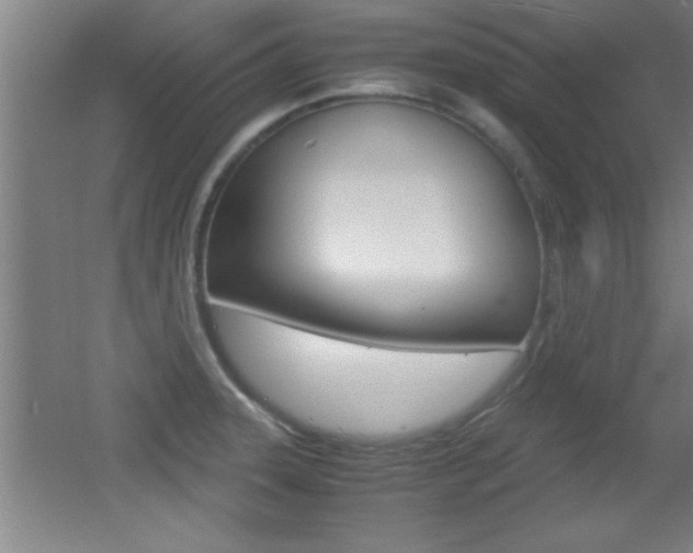 X0000055511331200508120745