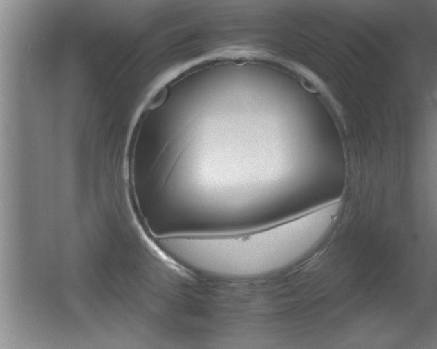 X0000055511335200508120745