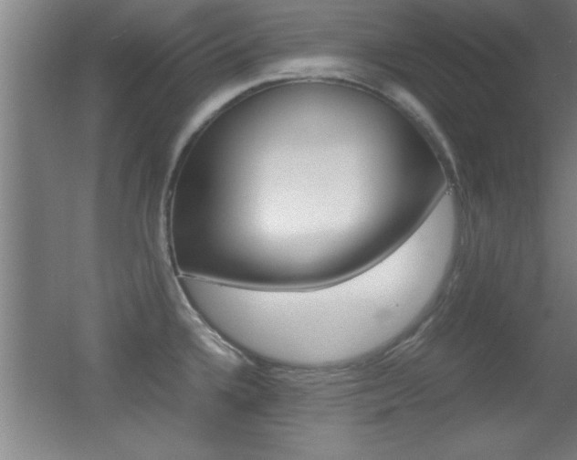X0000055511336200508120745