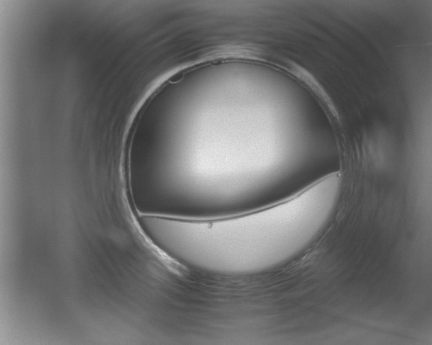 X0000055511339200508120746
