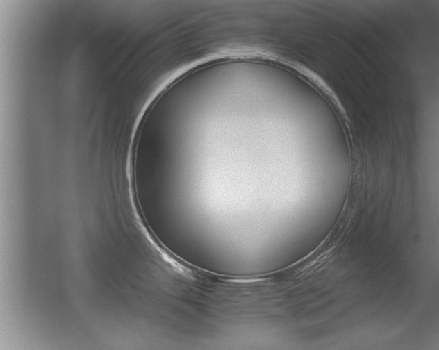 X0000055511343200508120746
