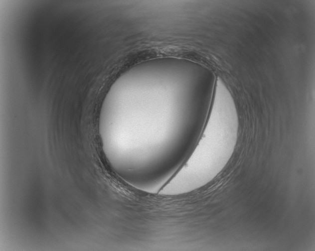 X0000055511345200508120745