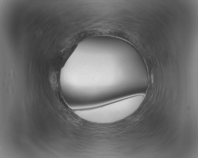 X0000055511347200508120745