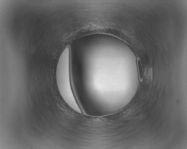 X0000055511348200508120745