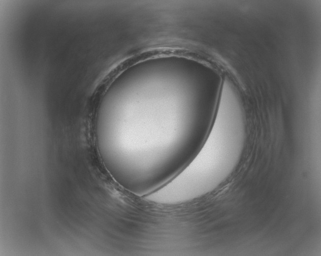 X0000055511352200508120745