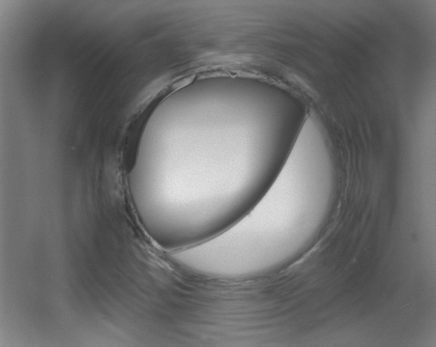 X0000055511354200508120745