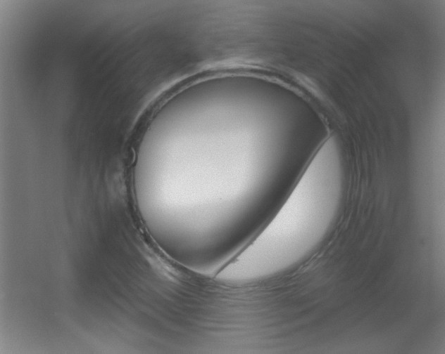 X0000055511356200508120745