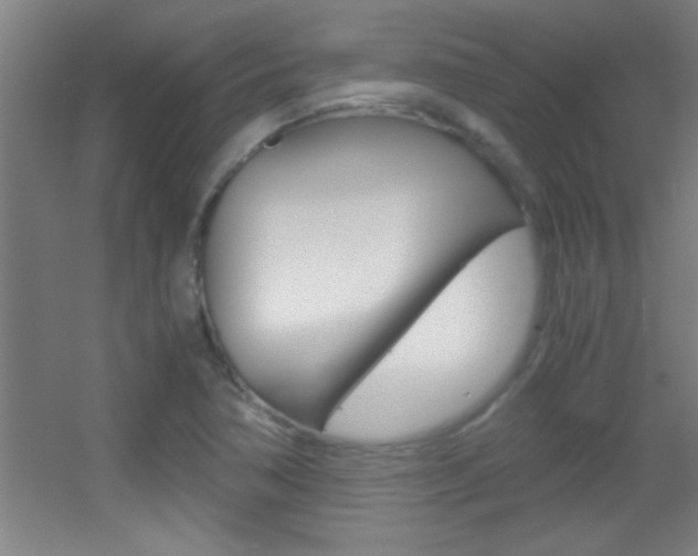 X0000055511362200508120744