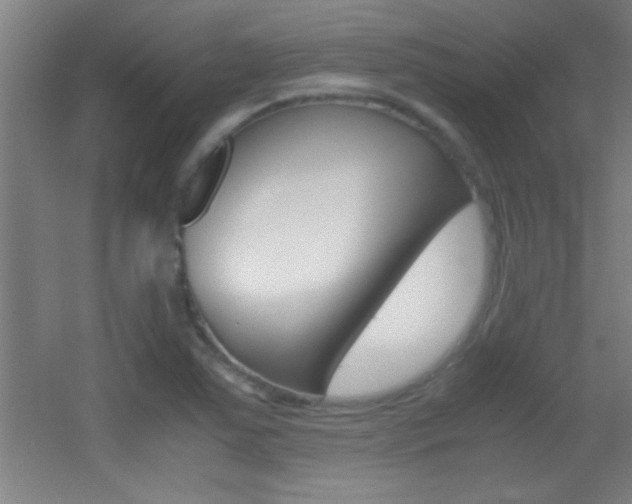 X0000055511363200508120744