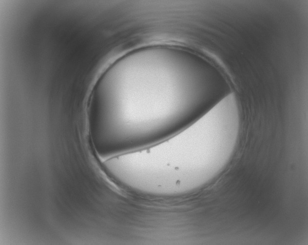 X0000055511371200508120744