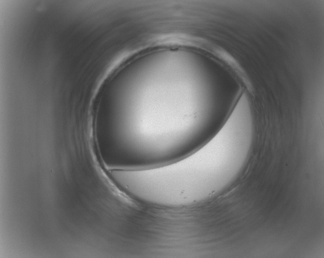 X0000055511376200508120744