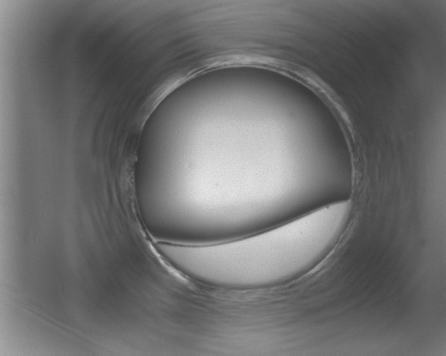X0000055511385200508120744
