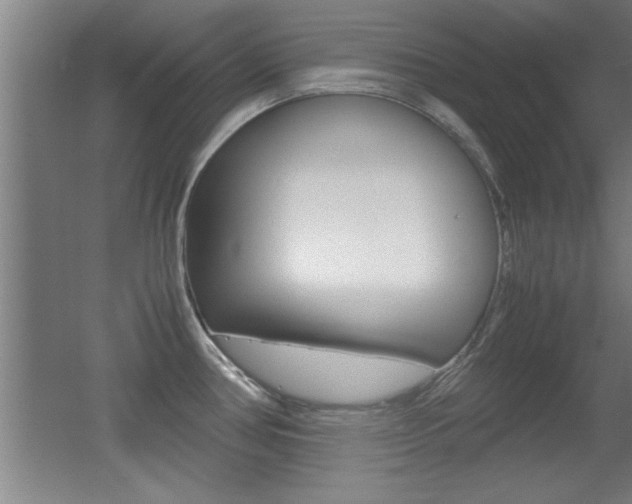 X0000055511386200508120744