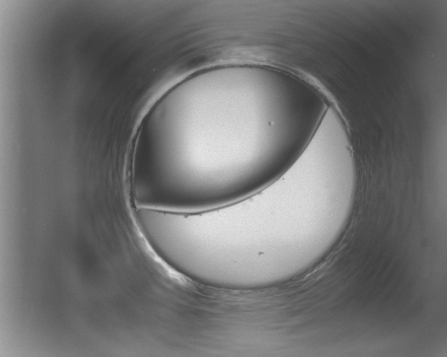 X0000055511387200508120744