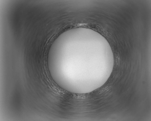 X0000055511393200508120743