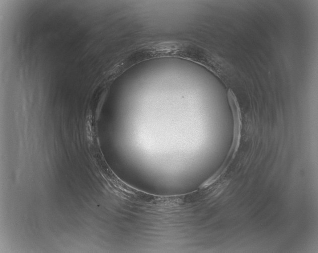 X0000055511394200508120743