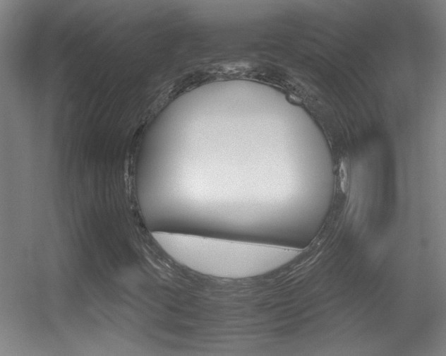 X0000055511395200508120743