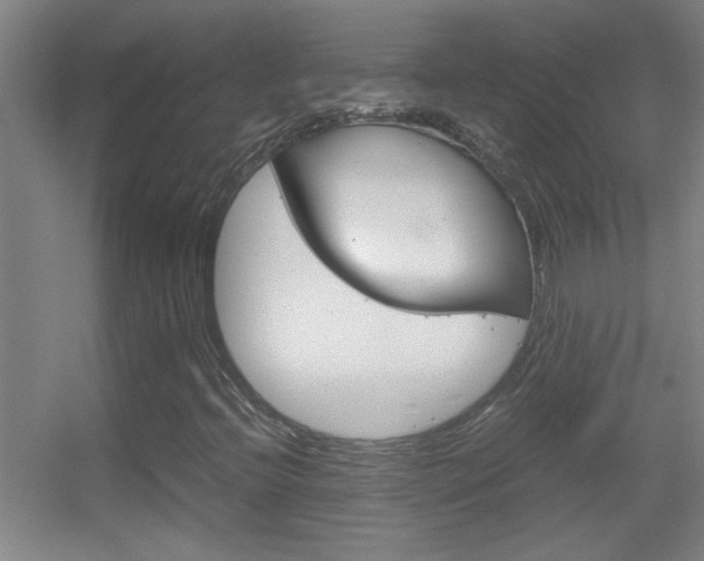X0000055511396200508120743
