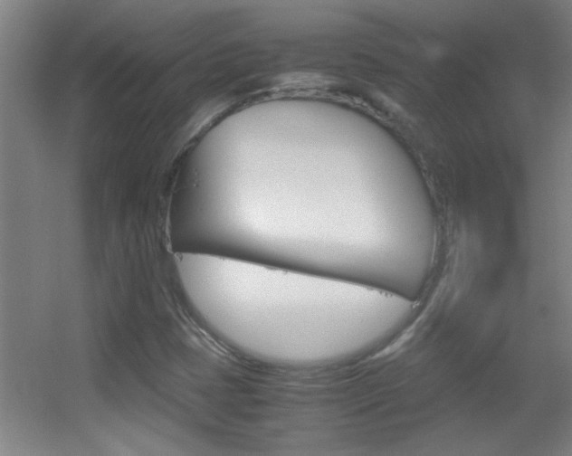 X0000055511401200508120743