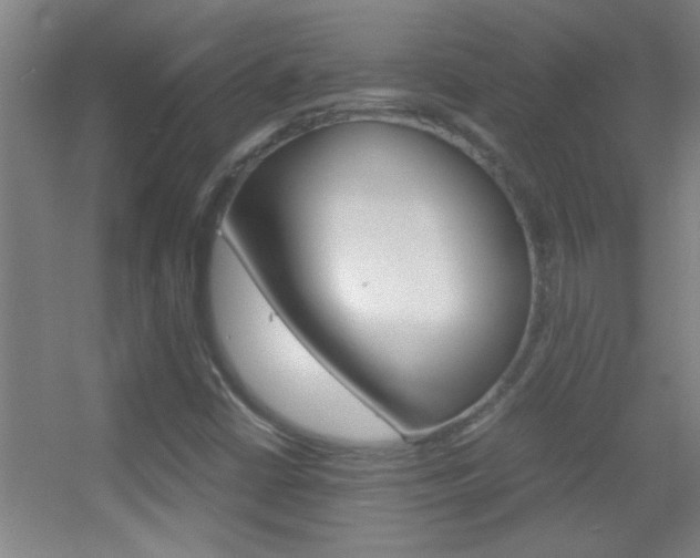 X0000055511402200508120743