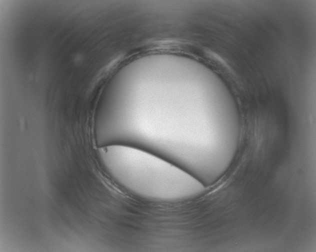 X0000055511403200508120743