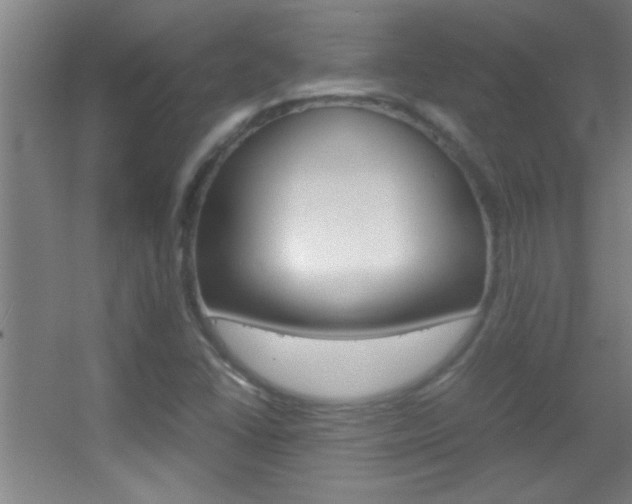 X0000055511406200508120743