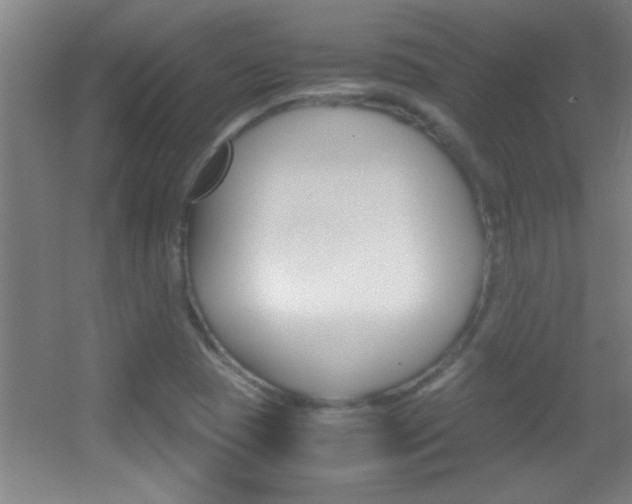 X0000055511409200508120743