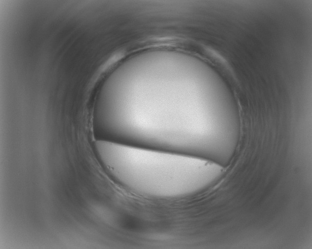 X0000055511411200508120743