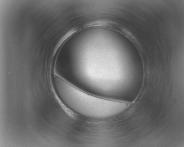 X0000055511426200508120744
