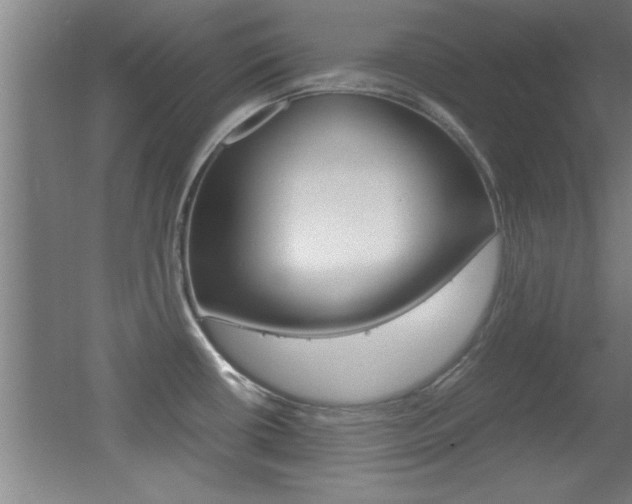 X0000055511434200508120744