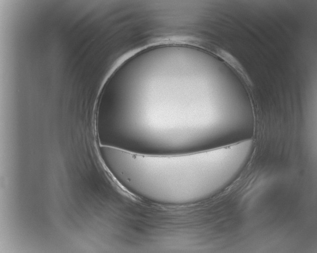 X0000055511436200508120744