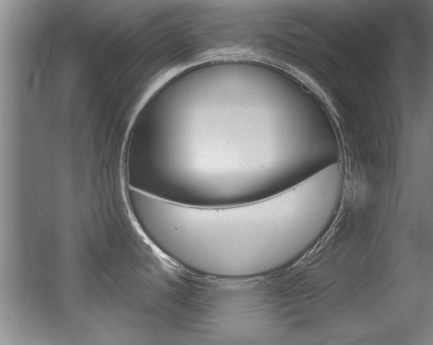 X0000055511440200508120744