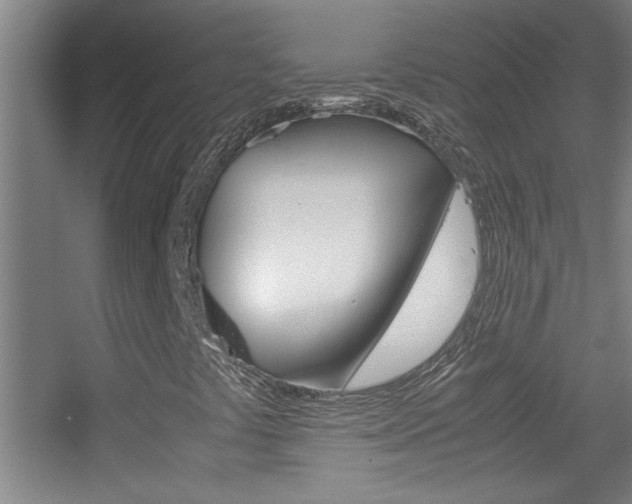 X0000055511441200508120743