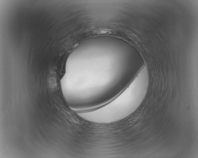 X0000055511442200508120743