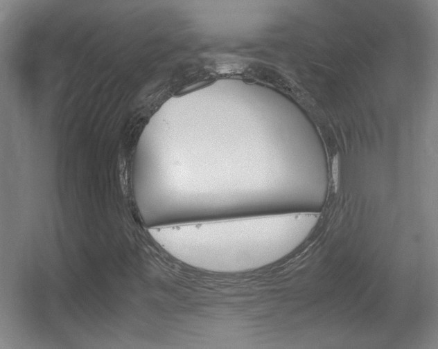 X0000055511443200508120743