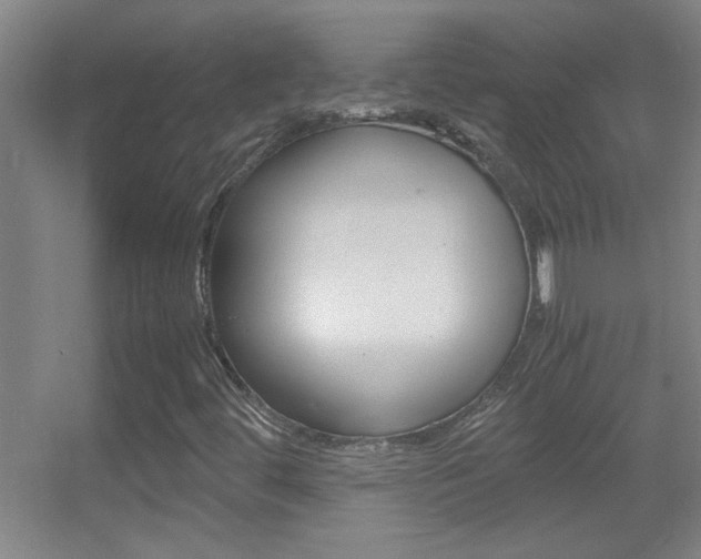 X0000055511444200508120743