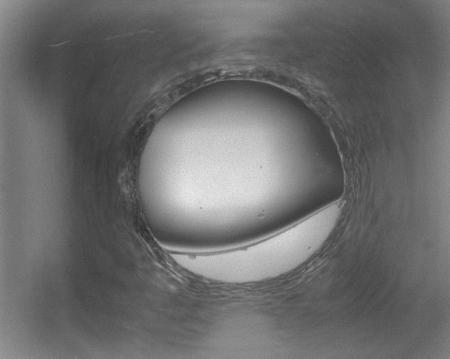 X0000055511445200508120743