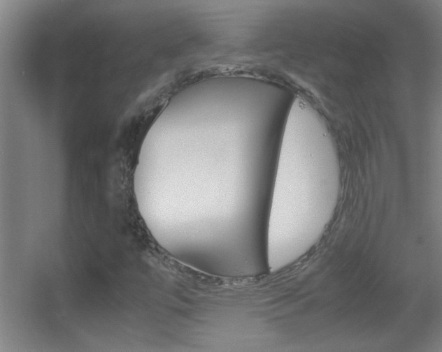 X0000055511447200508120743