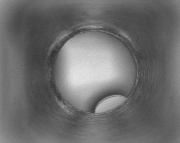 X0000055511448200508120743