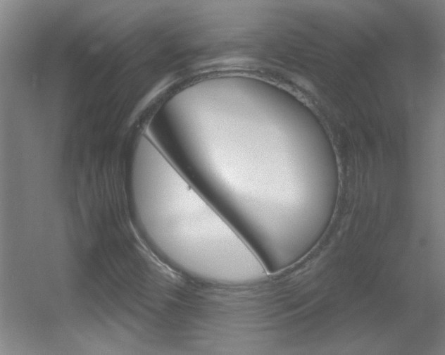 X0000055511450200508120743