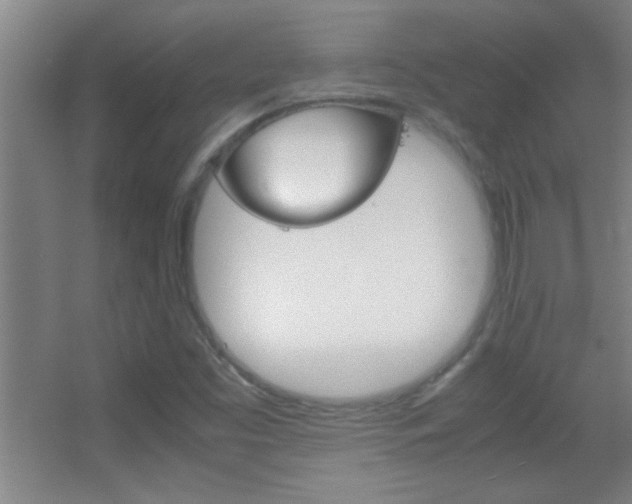 X0000055511453200508120743