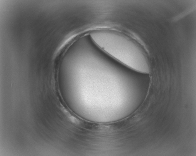 X0000055511456200508120743