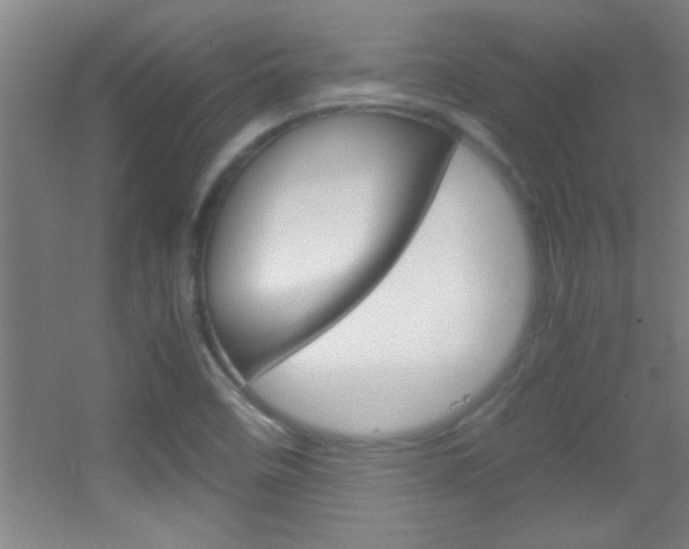 X0000055511458200508120743