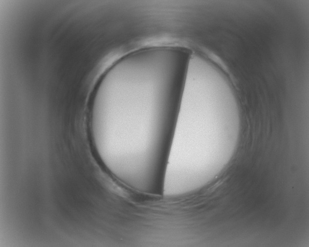 X0000055511463200508120743
