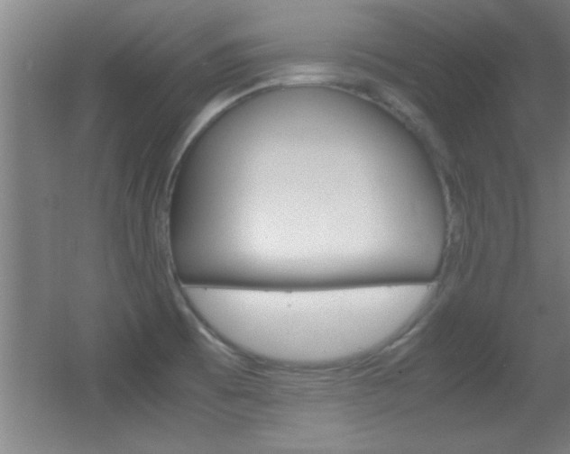 X0000055511473200508120743