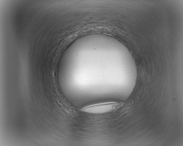 X0000055511489200508120742