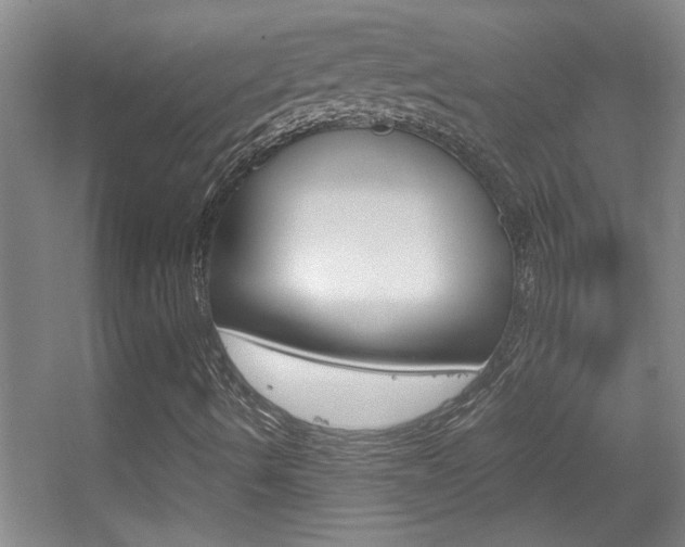 X0000055511490200508120742