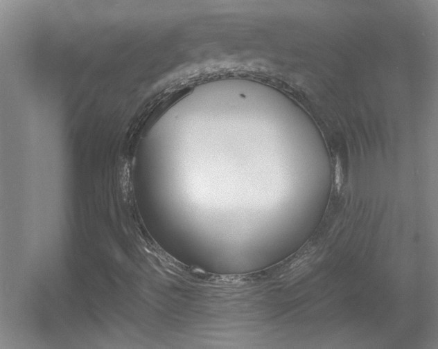 X0000055511492200508120742