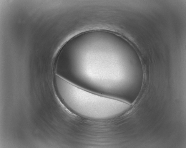 X0000055511500200508120742